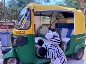 Carrion Zhakalazky 139