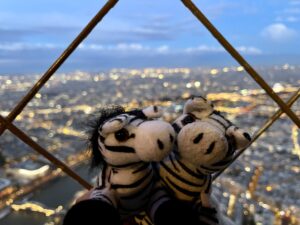 Carrion Zhakalazky 144