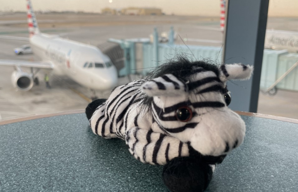 Untitled design (29)